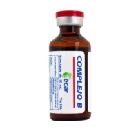 COMPLEJO B AMPOLLA 10 ML ECAR